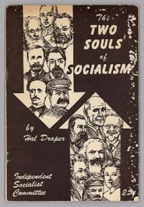 Cover of The Two Souls of Socialism